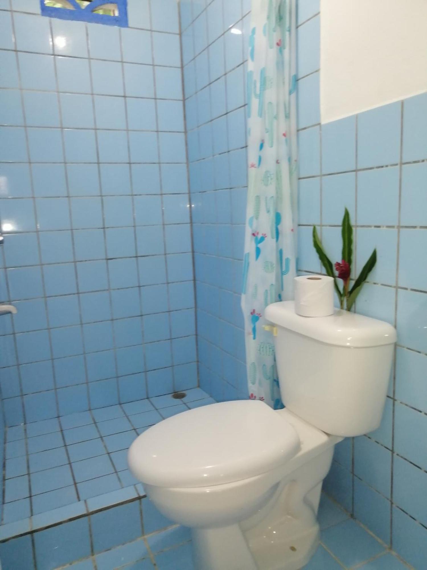 קאוויטה Rooms Palmeras מראה חיצוני תמונה